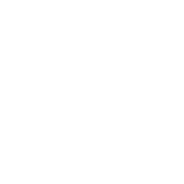 SAFE INTERNATIONAL