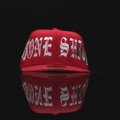 "Shit Aint For Everyone" Fitted Hat (Grey Under Brim)